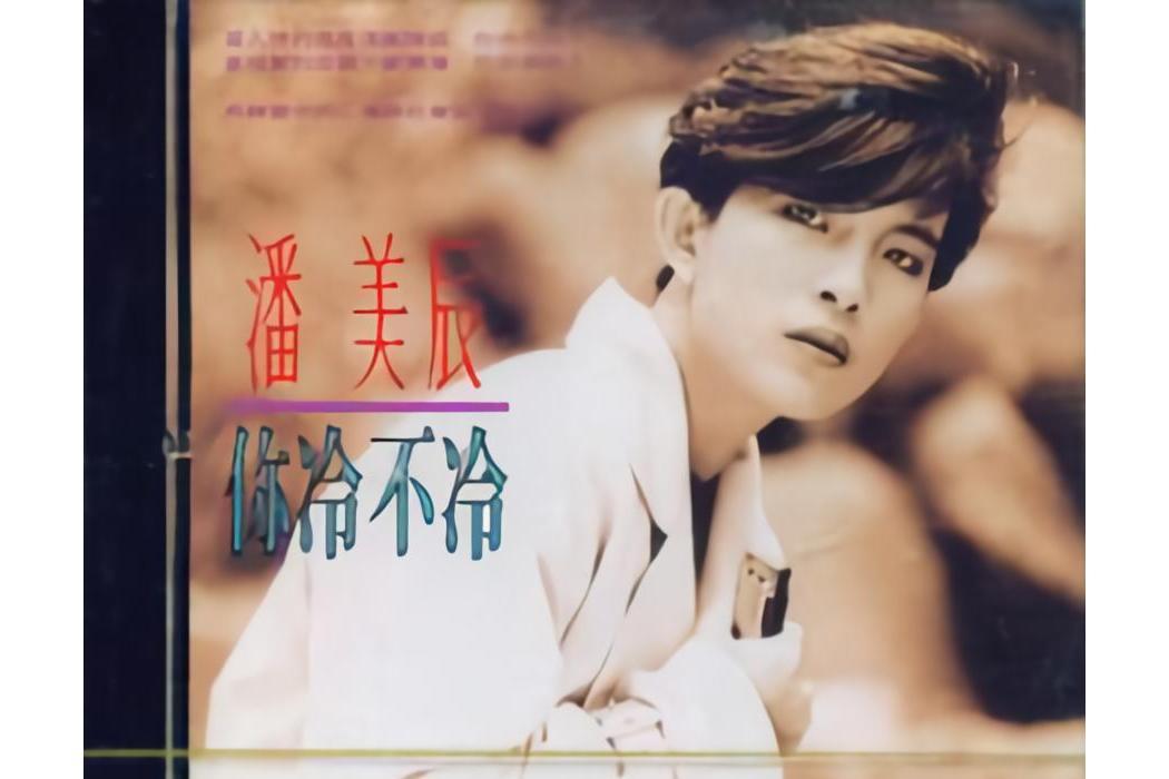你冷不冷(潘美辰演唱歌曲)