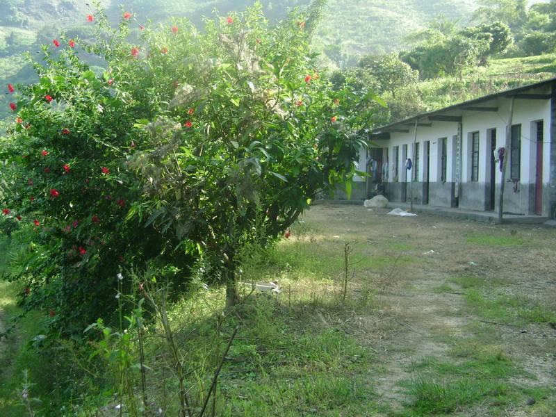 龍眼基地村 龍眼基地村