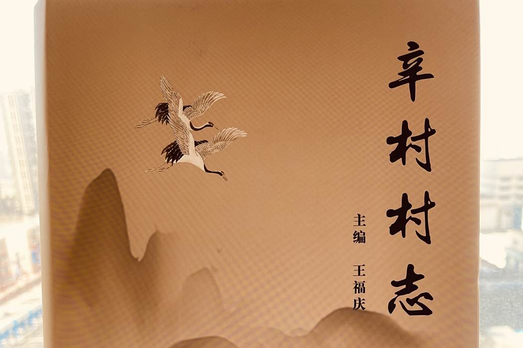 辛村村志 辛村村志