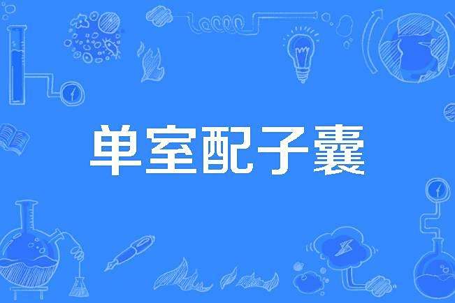 單室配子囊