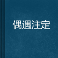 偶遇注定