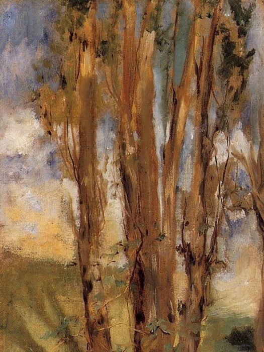 Study of trees Study of trees
