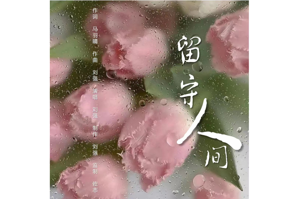 留守人間(劉強演唱歌曲) 留守人間(劉強演唱歌曲)