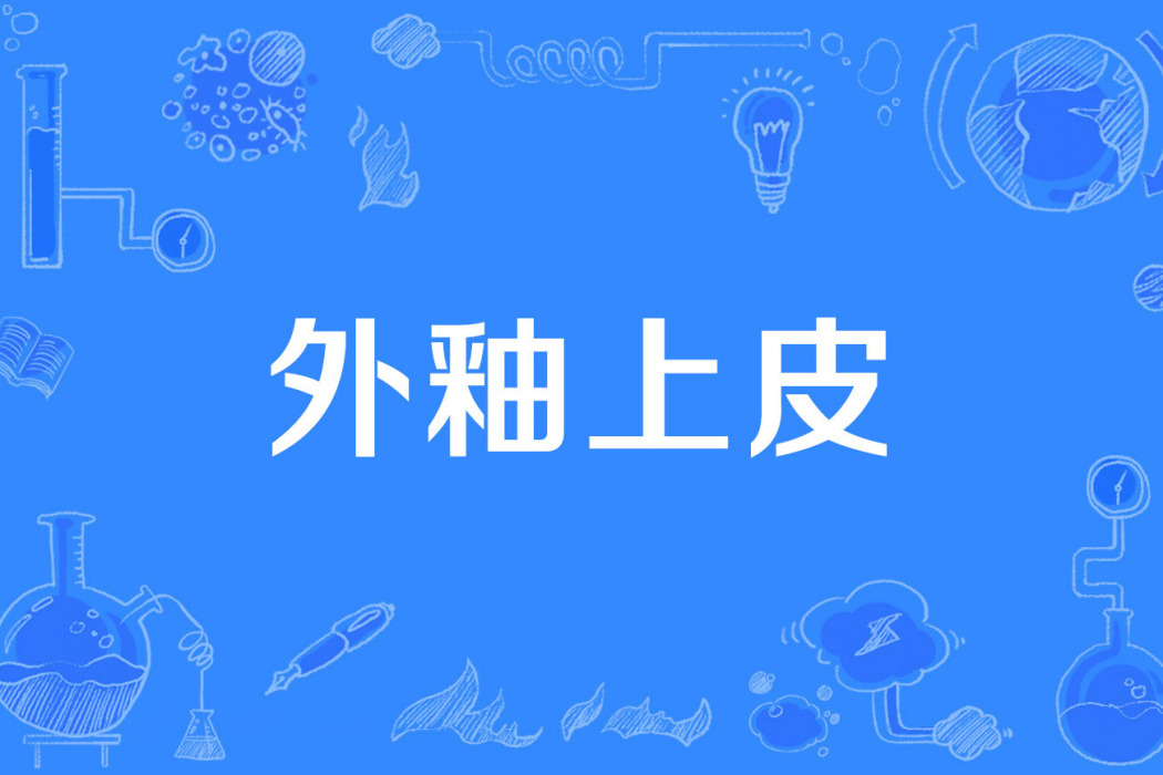 外釉上皮