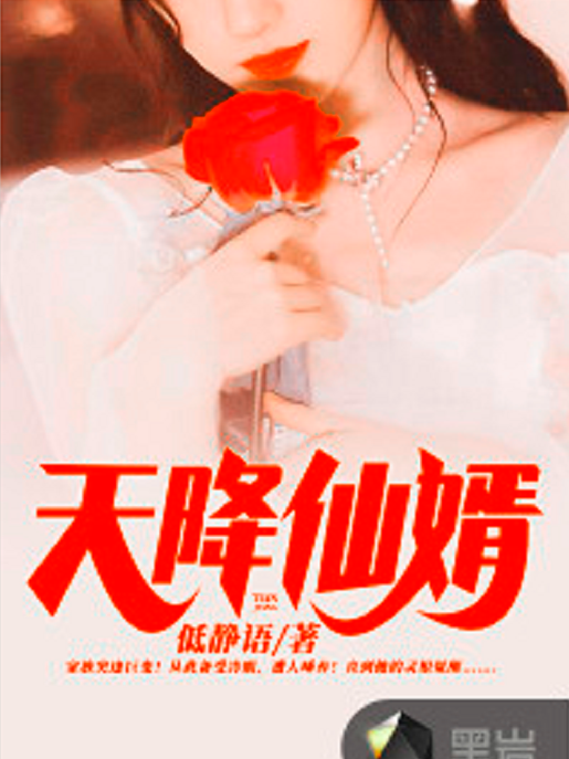 天降仙婿(低靜語創作的網路小說) 天降仙婿(低靜語創作的網路小說)