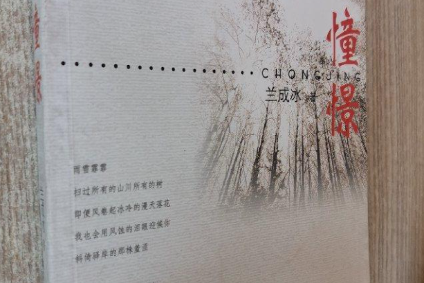 憧憬(2007年春風文藝出版社出版的圖書)