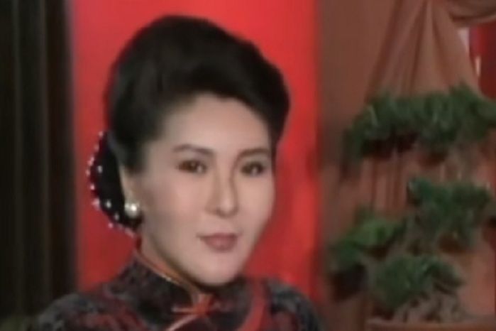 張玉琴(古裝劇《婉君》中的角色) 張玉琴(古裝劇《婉君》中的角色)