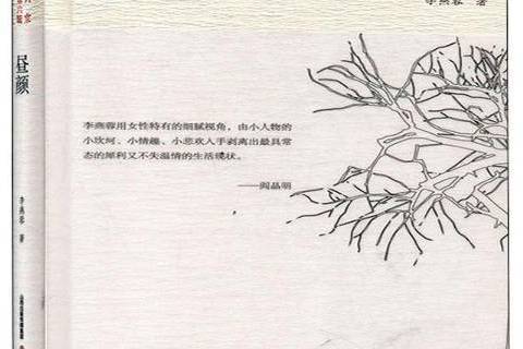 晝顏(2019年北嶽文藝出版社出版的圖書)