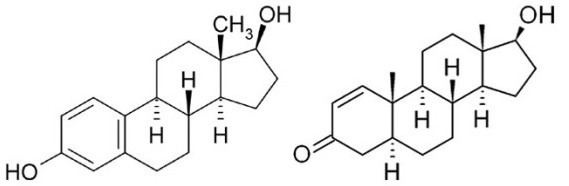 分子結構。雌激素（左），睪酮（右）