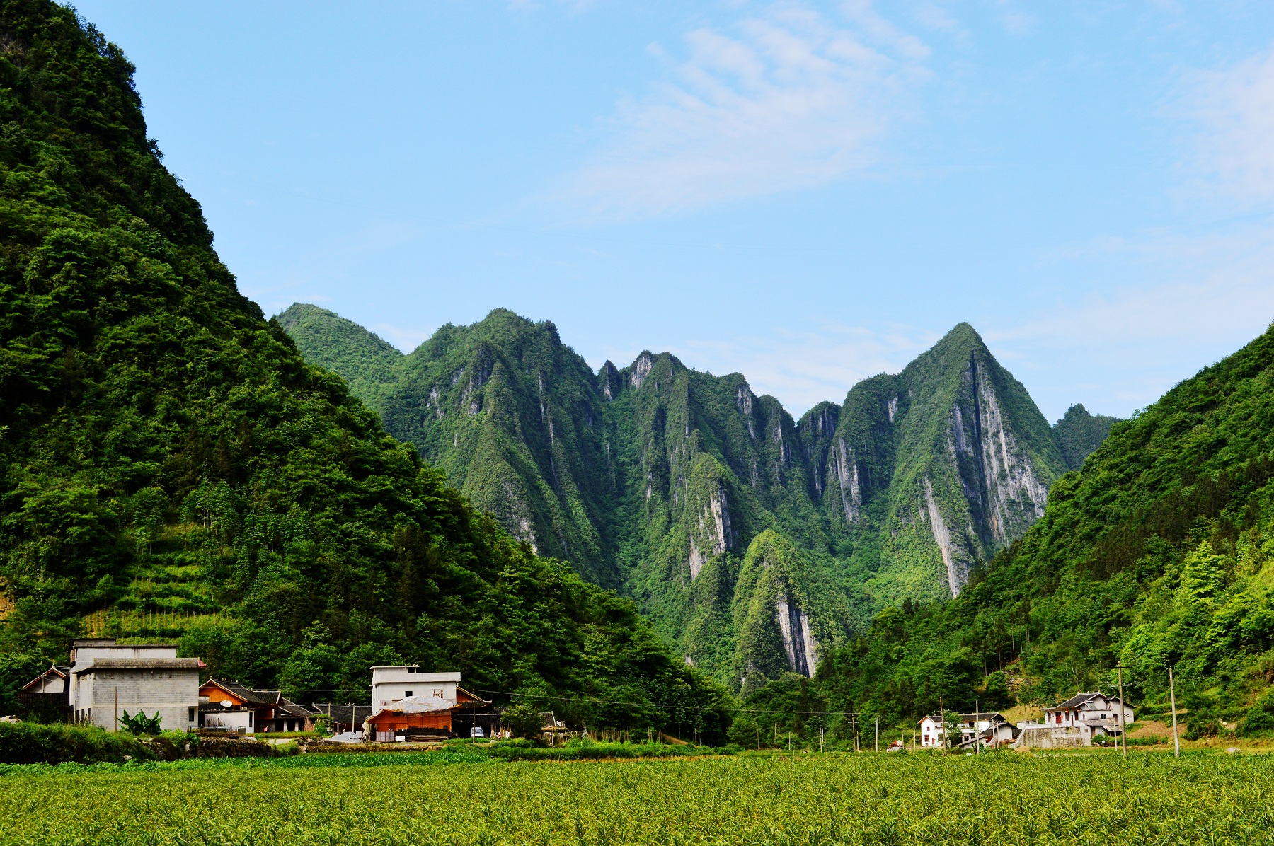 中營鎮(湖北省恩施土家族苗族自治州鶴峯縣中營鎮)