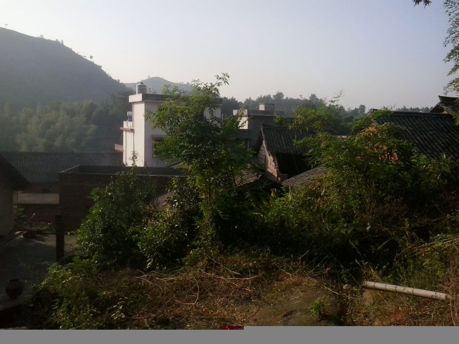 新畔沖村 新畔沖村