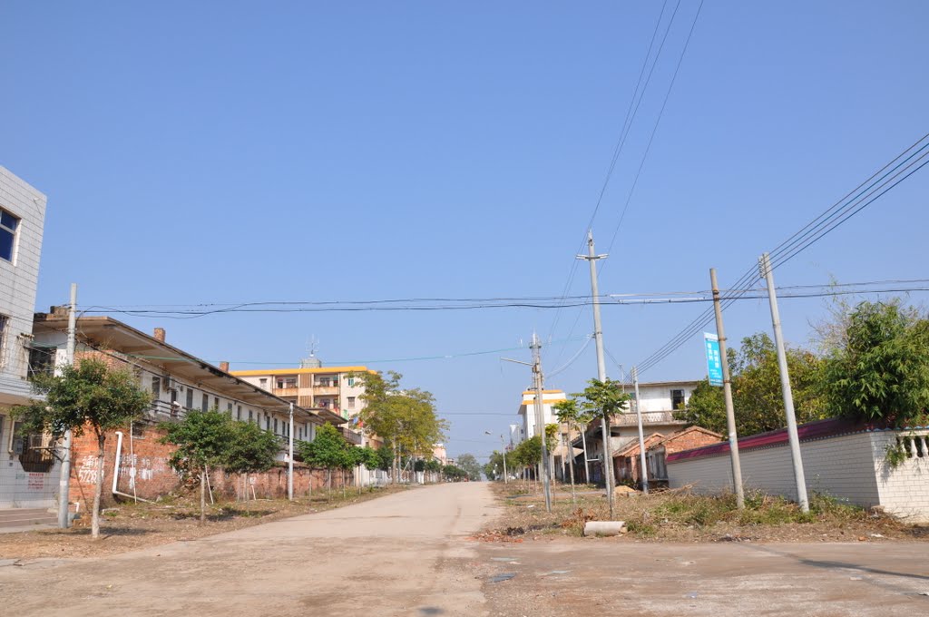 塘尾社區(深圳市福永街道下轄社區)