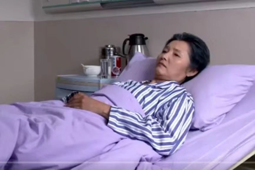 梅潔(都市情感劇《下輩子還做我老爸》中的角色) 梅潔(都市情感劇《下輩子還做我老爸》中的角色)