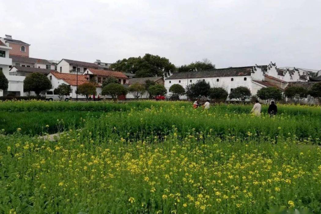 隴頭朱村 隴頭朱村