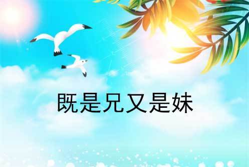 既是兄又是妹 既是兄又是妹