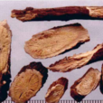 苦豆根 苦豆根
