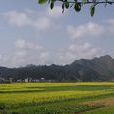 庫坑村 庫坑村