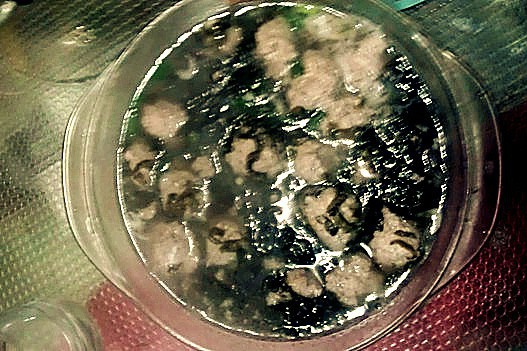 紫菜肉丸子湯 紫菜肉丸子湯