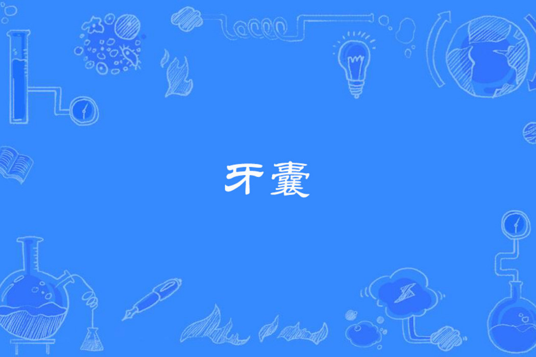 牙囊
