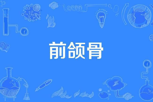 前頜骨 前頜骨