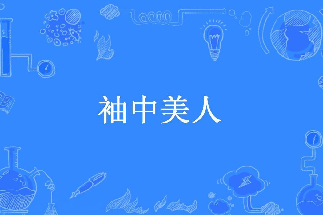 袖中美人(不識非所著小說)