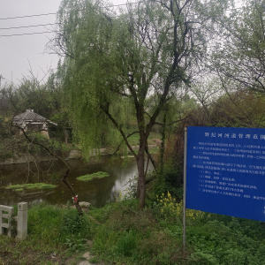 野紀河