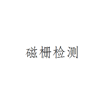 磁柵檢測 磁柵檢測