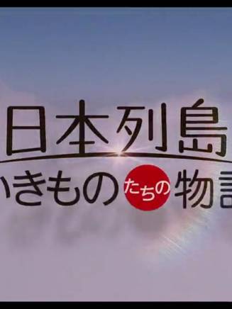 黑木瞳(黒木瞳) 黑木瞳(黒木瞳)
