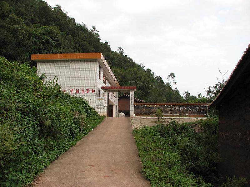 折苴村 折苴村