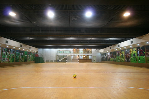 東單體育中心室內足球館