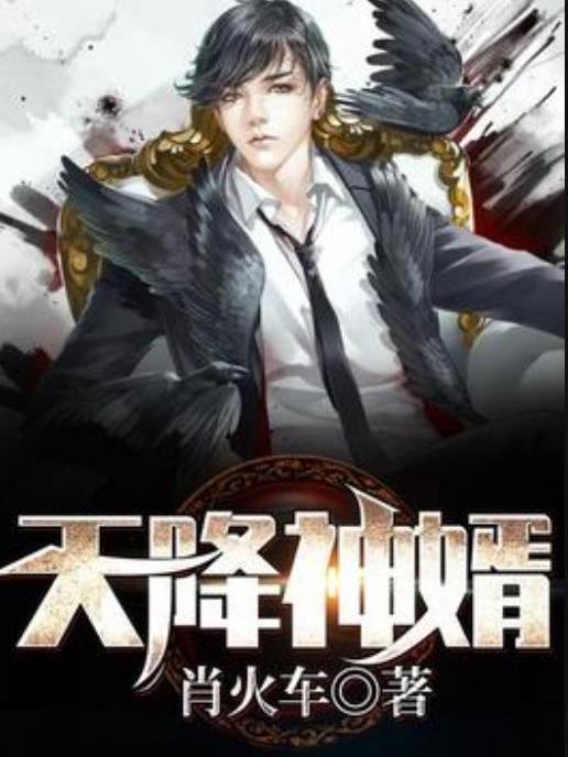 天降神婿(肖火車所著小說) 天降神婿(肖火車所著小說)