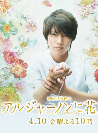 山下智久(YAMAP) 山下智久(YAMAP)