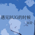 遇見BUG的時候 遇見BUG的時候