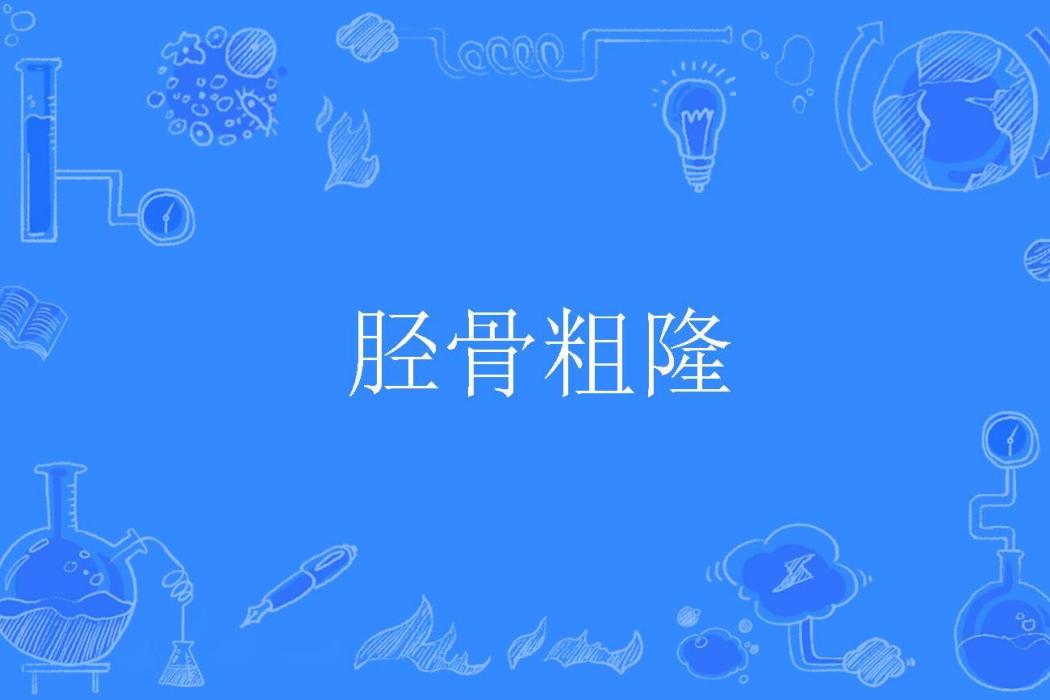 脛骨粗隆 脛骨粗隆