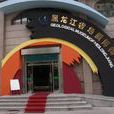黑龍江省地質博物館