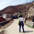 三岔村(雲南省曲靖會澤縣老廠鄉三岔村委會)