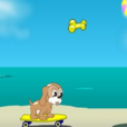 小狗玩滑板車