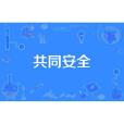 共同安全 共同安全