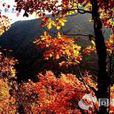 翠楓山(翠峰山(山西省陽泉市翠峰山)) 翠楓山(翠峰山(山西省陽泉市翠峰山))