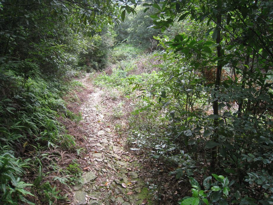 竹馬嶺山道 竹馬嶺山道
