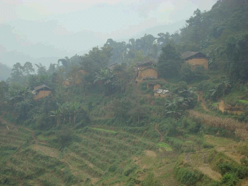 納鳥村(雲南省文山州丘北縣溫瀏鄉壩納鳥村) 納鳥村(雲南省文山州丘北縣溫瀏鄉壩納鳥村)