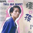 壞女孩(香港1986年梅艷芳主演喜劇片) 壞女孩(香港1986年梅艷芳主演喜劇片)