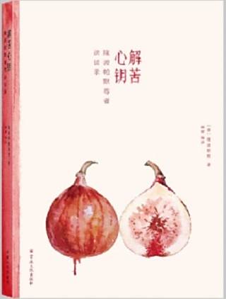 解苦心鑰 解苦心鑰