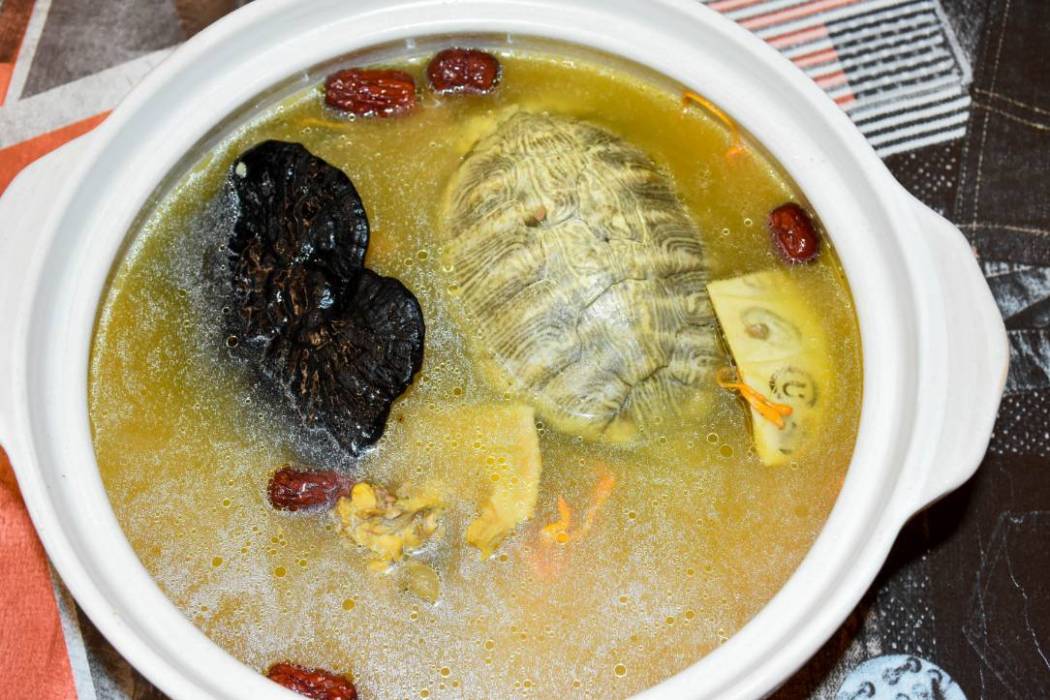 清心龜湯 清心龜湯
