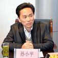孫小平(人民代表大會代表) 孫小平(人民代表大會代表)