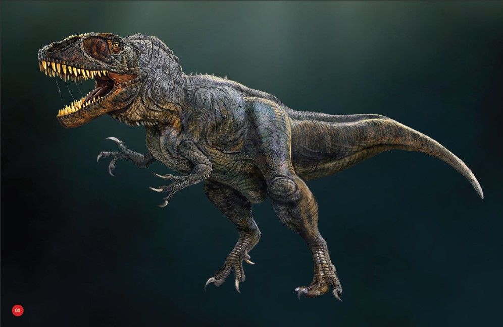 南方巨獸龍是鯊齒龍科的短腿大個