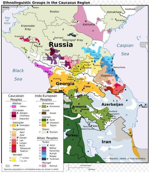 高加索語系