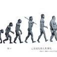 高等動物 高等動物