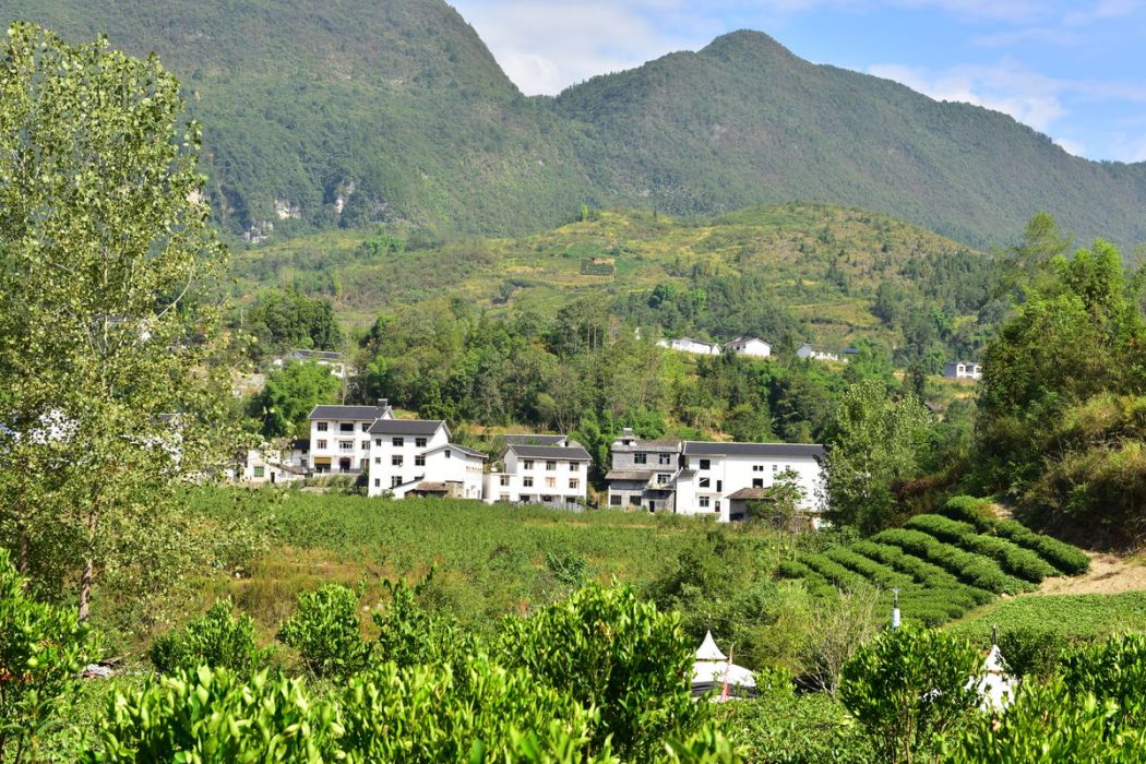溝洛村 溝洛村