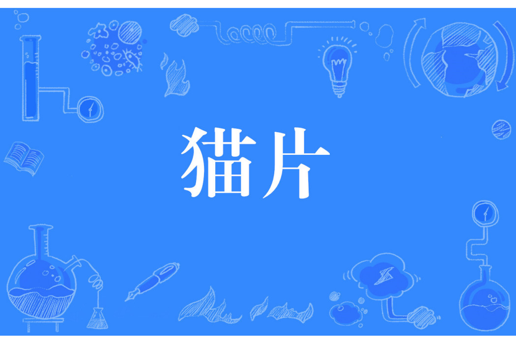 貓片 貓片